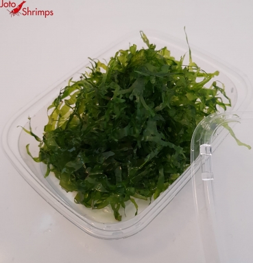 Preview: Süßwassertang 125ml